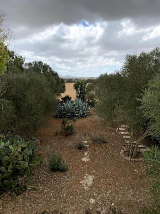Сasa de vacaciones Casa Farah Las Salinas