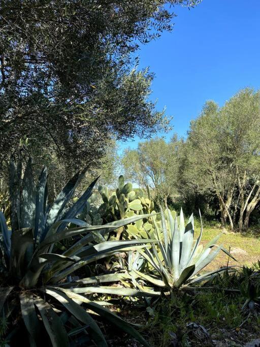 Casa Farah Сasa de vacaciones Las Salinas