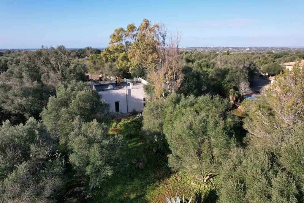 Casa Farah * Las Salinas