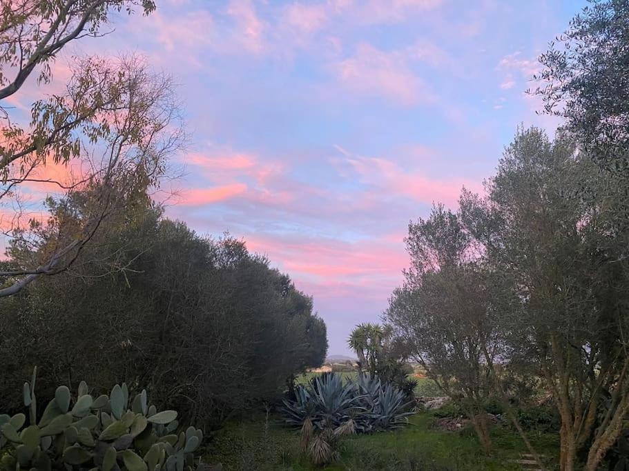 Сasa de vacaciones Casa Farah