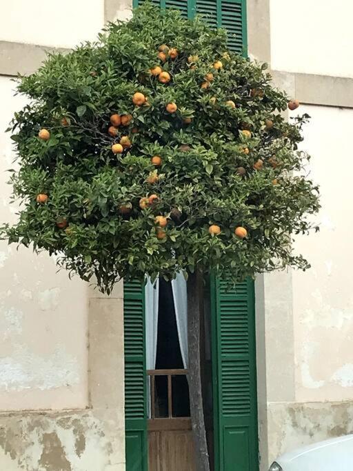 Casa Farah Сasa de vacaciones *