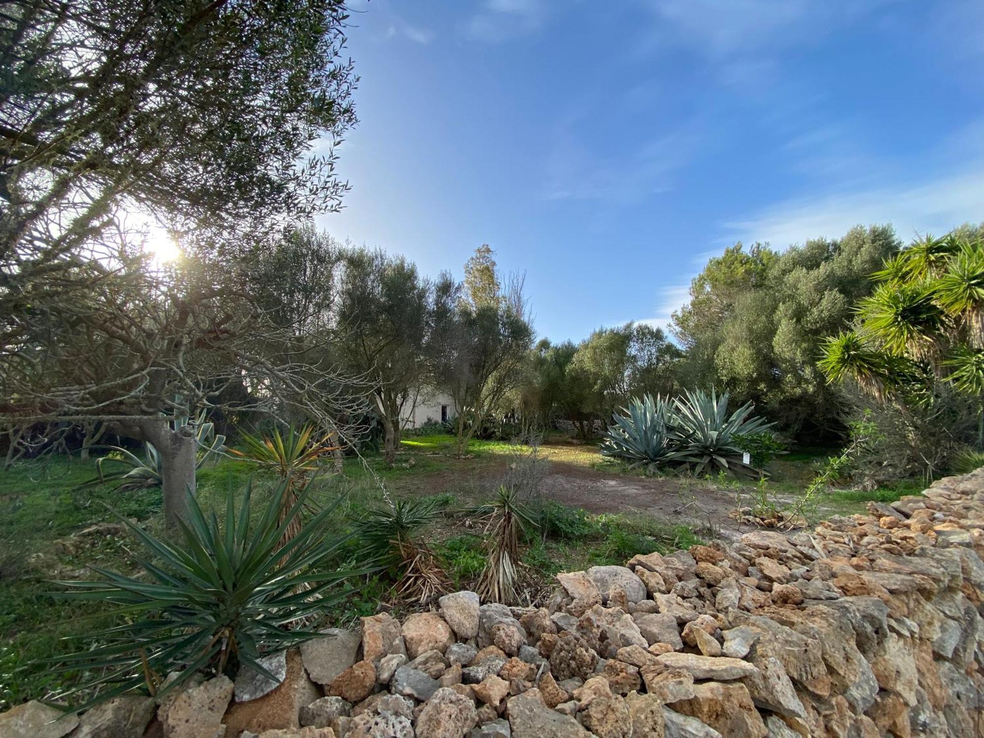 Casa Farah Сasa de vacaciones *